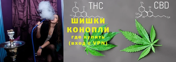 хмурый Абаза